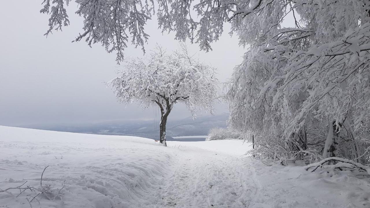 Sonnenschein Am Rursee Simmerath Eksteriør bilde