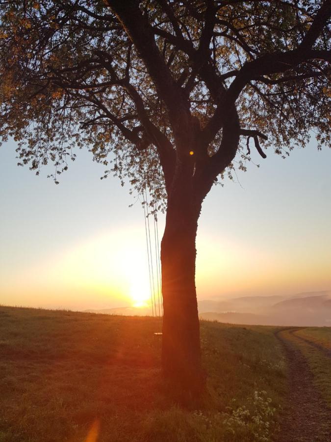 Sonnenschein Am Rursee Simmerath Eksteriør bilde