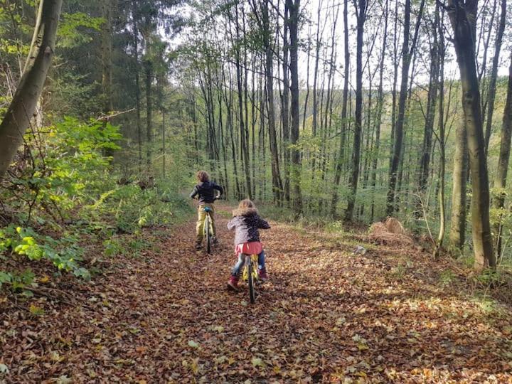 Sonnenschein Am Rursee Simmerath Eksteriør bilde